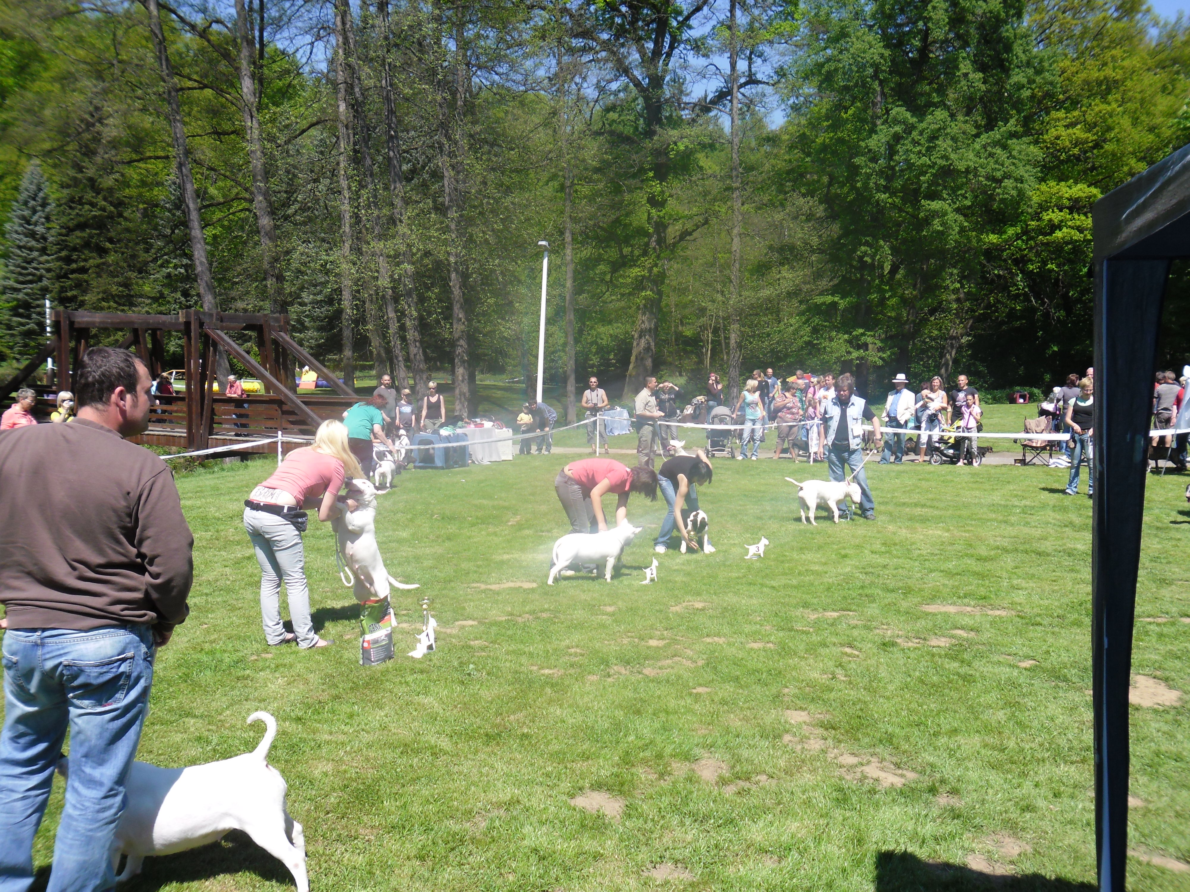 SAM_0643